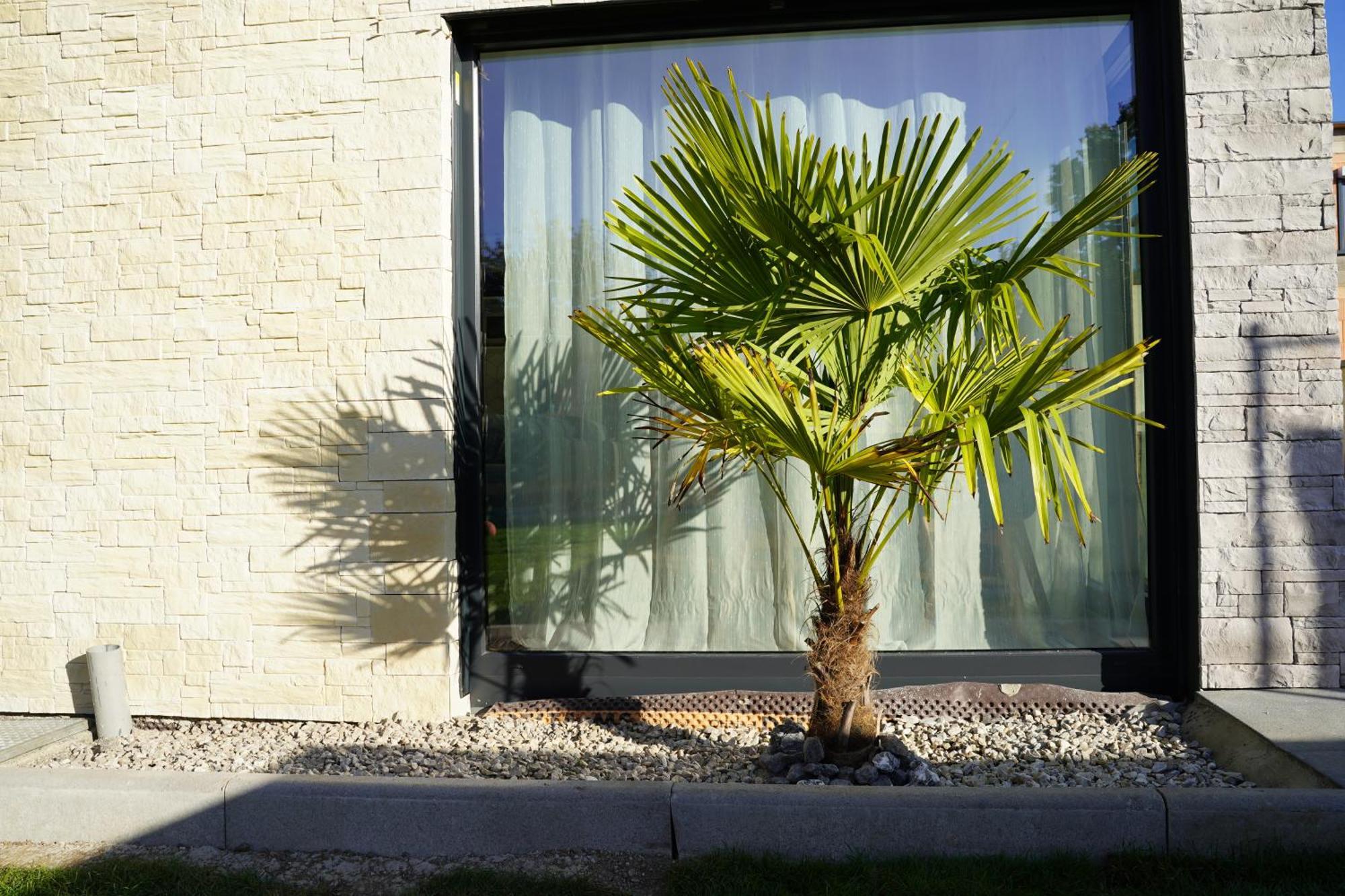 Tiny House Turckheim Villa Bagian luar foto